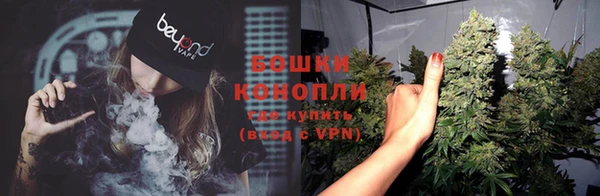 гашиш Богданович