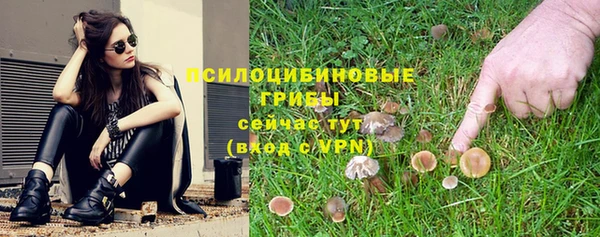 амф Богородицк