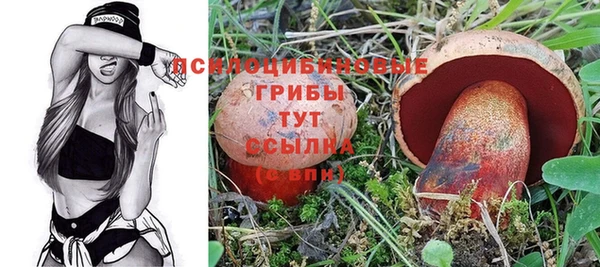 гашиш Богданович