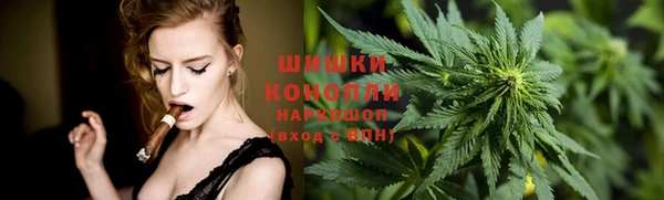 амф Богородицк