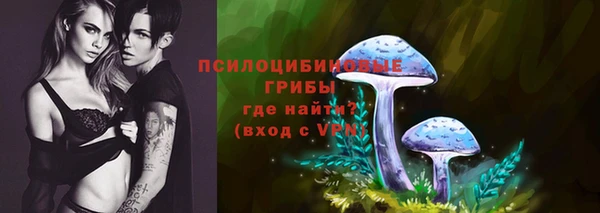 гашиш Богданович