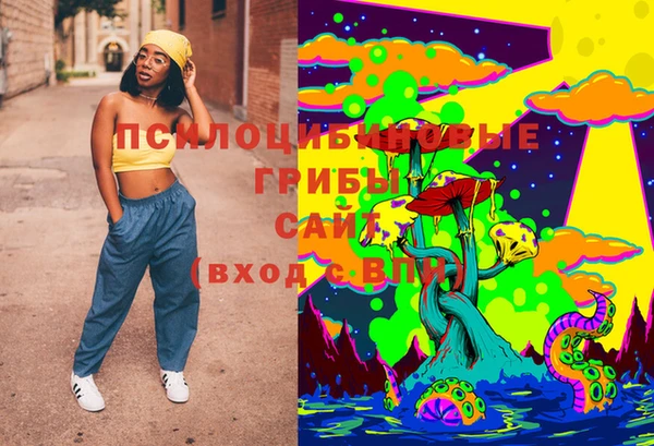 гашиш Богданович