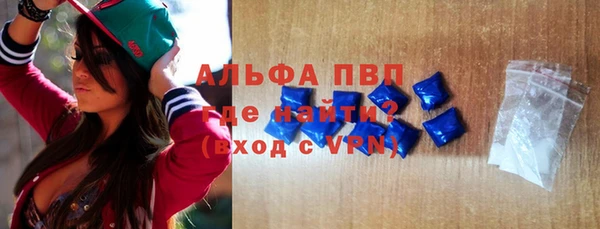 гашиш Богданович