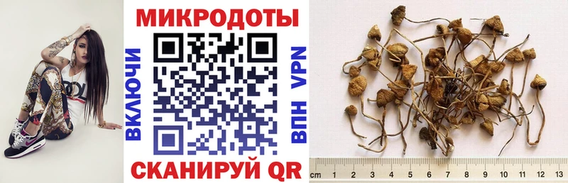 Псилоцибиновые грибы GOLDEN TEACHER Голицыно